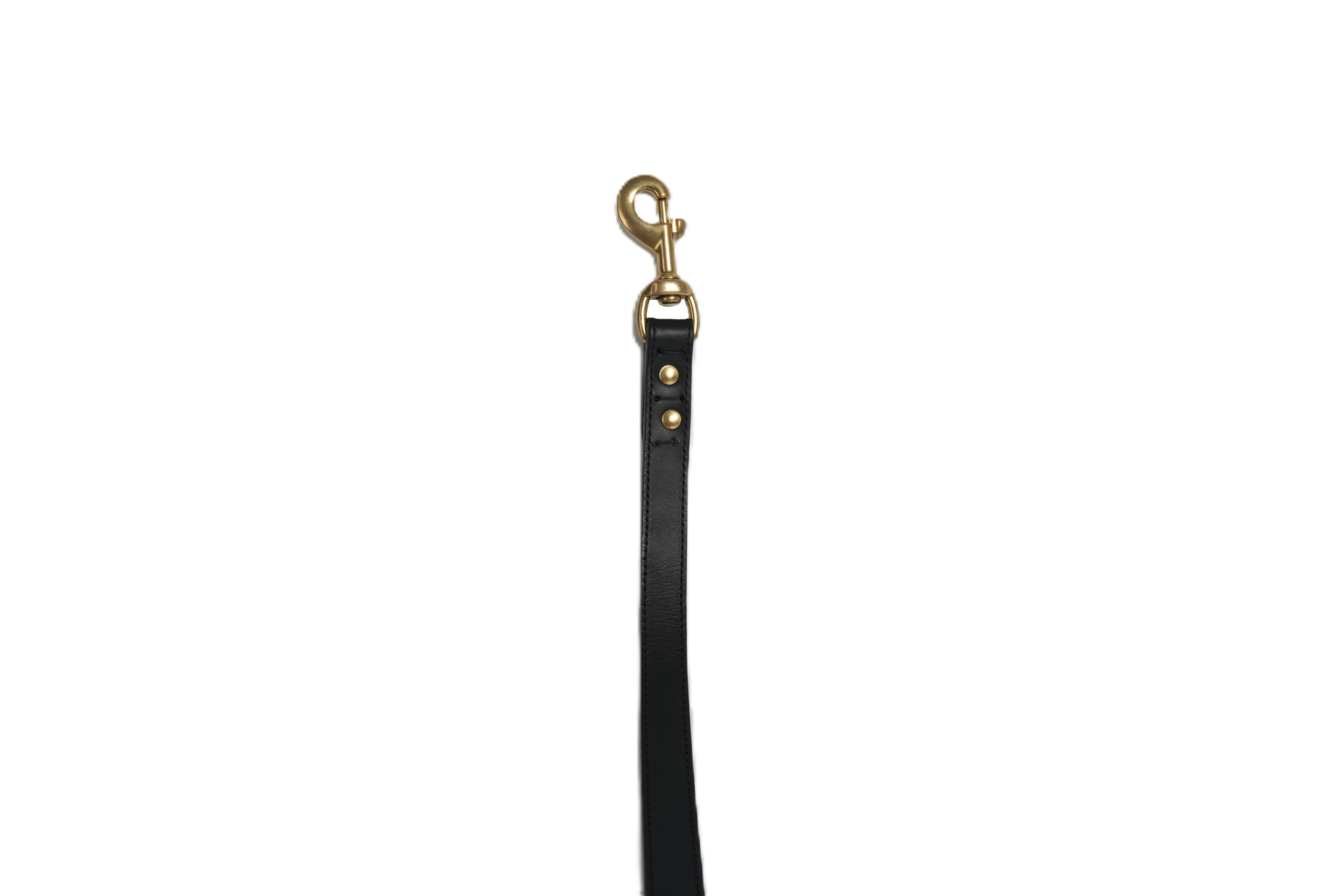 Onyx — Leather Leash