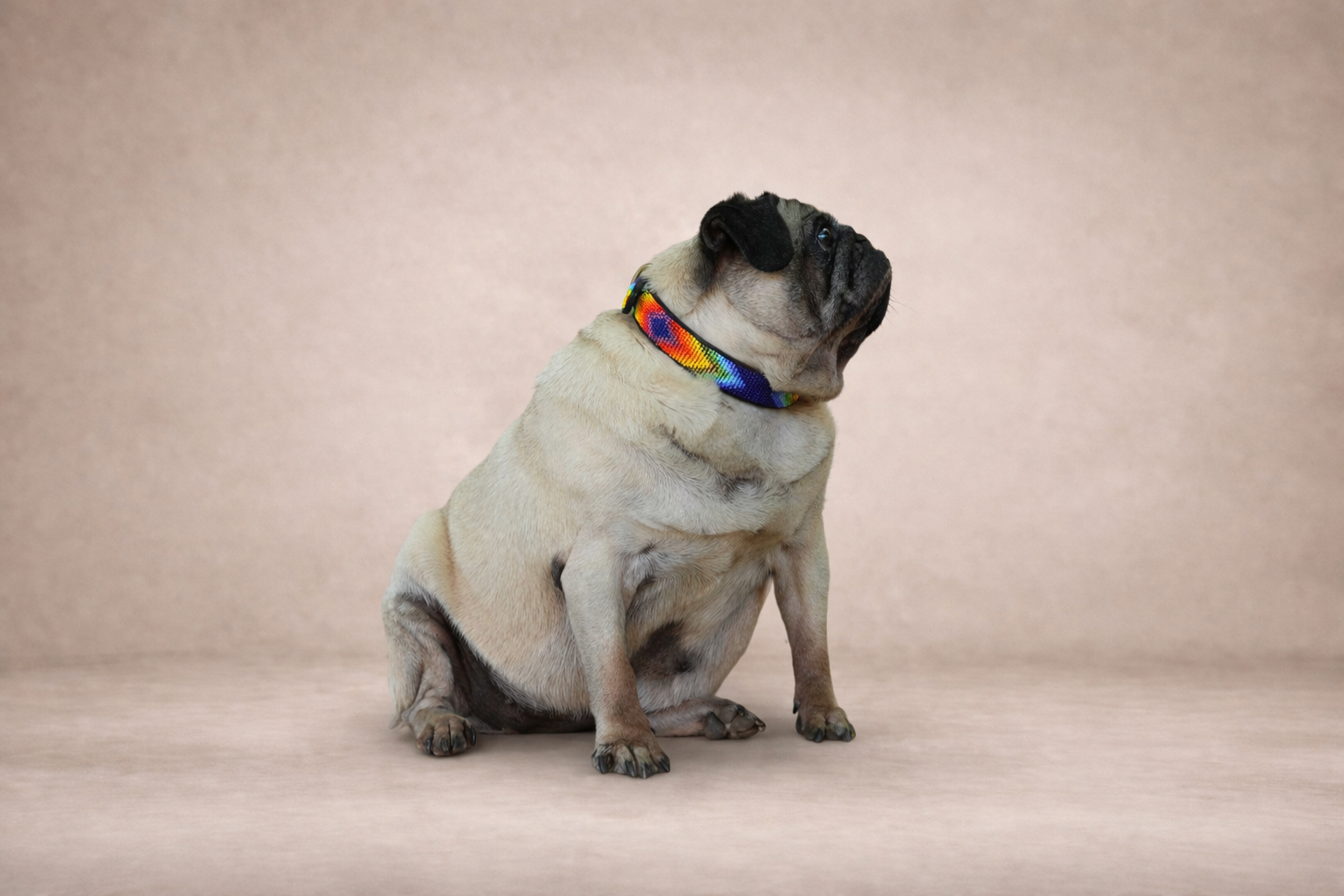 Spectrum — Leather Collar