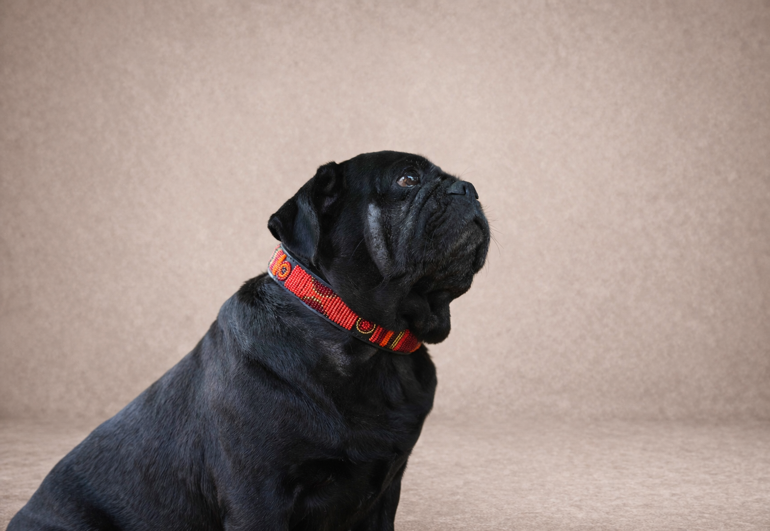 Ember — Leather Collar