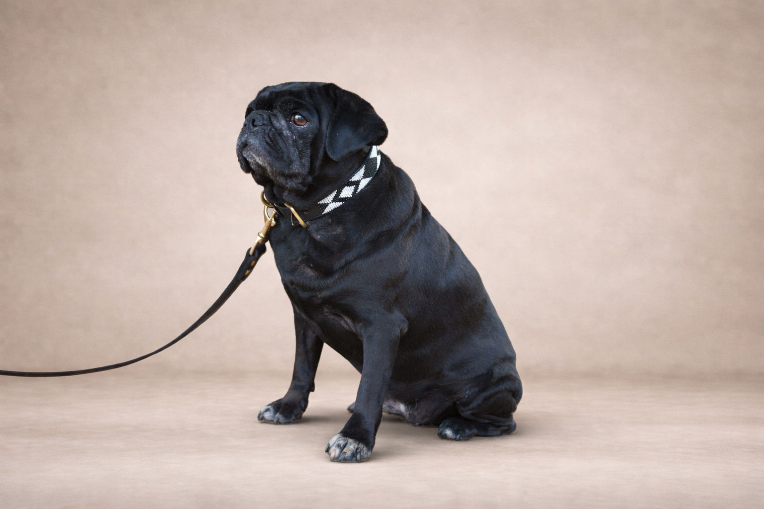 Onyx — Leather Collar