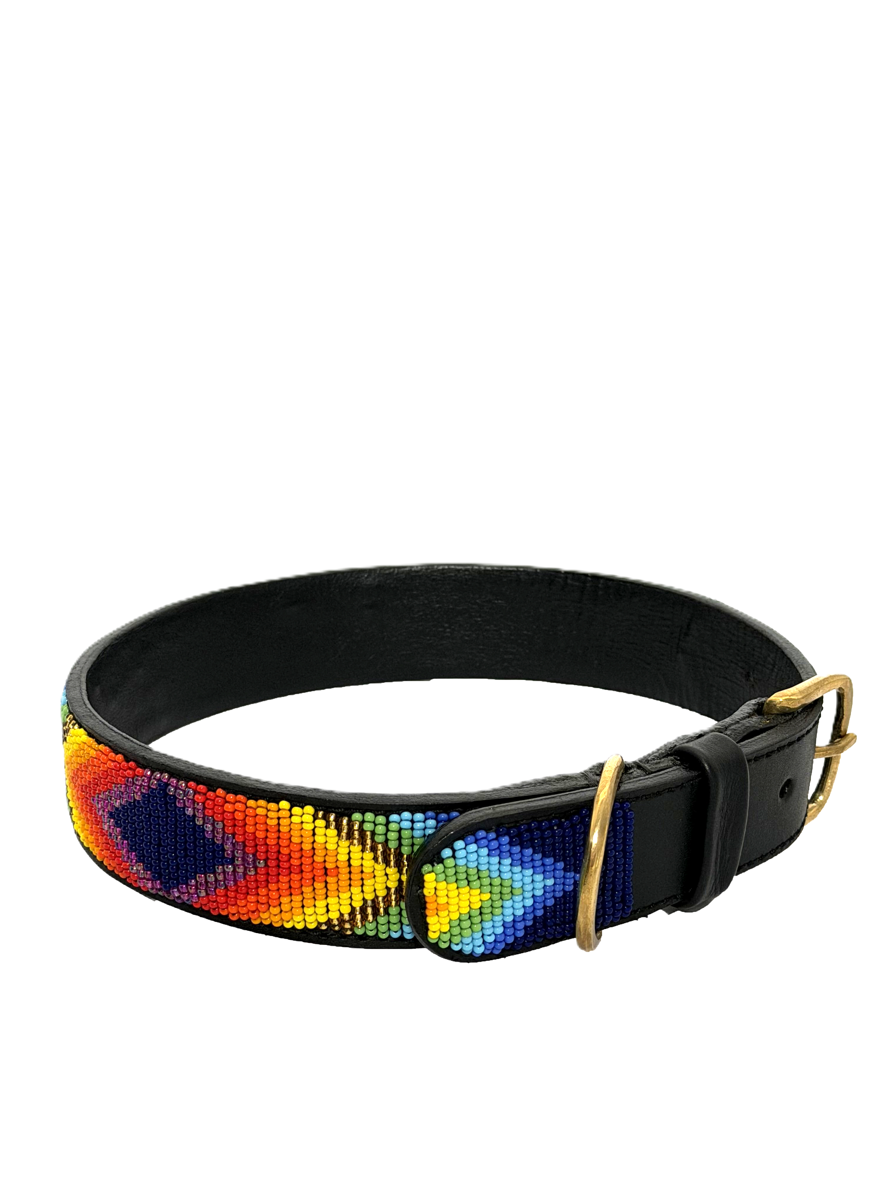 Spectrum — Leather Collar